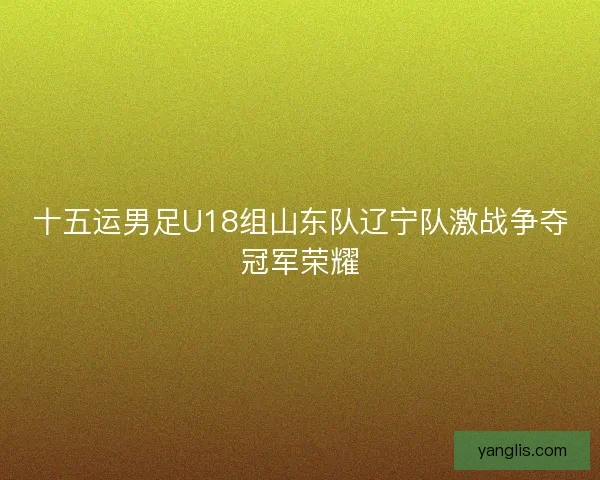 十五运男足U18组山东队辽宁队激战争夺冠军荣耀 十五运男足U18组山东队辽宁队激战争夺冠军荣耀